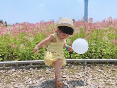 -二沙岛艺术公园