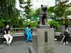 -涩谷区