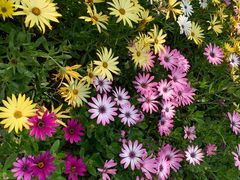 -南通洲际绿博园