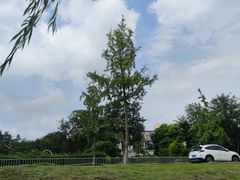 -两河城市森林公园