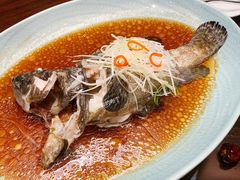 葱丝豉油蒸老虎斑-环球港凯悦 · 享悦中餐厅
