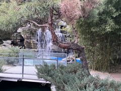 -中国农业大学(西校区)