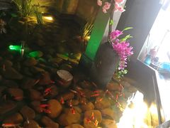 -新悦·霞浦海鲜生(上下杭店)