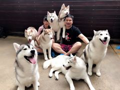 -TrueLove @ Neverland (Husky Cafe)