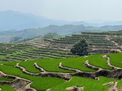 -牙胡梯田景区