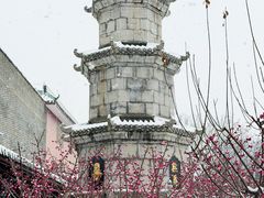 -长春观