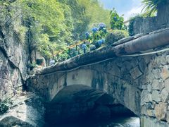 -将军关探险漂流