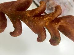 -正新鸡排·炸鸡汉堡(奥城店)
