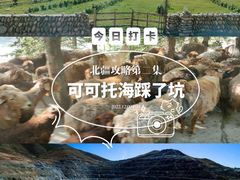 -可可托海景区