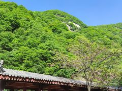 -西安祥峪森林公园