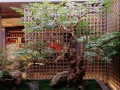 -船歌·鱼水饺青岛菜(闽江二路店)