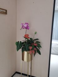 -广东韩妃整形外科医院