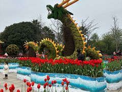-南山植物园