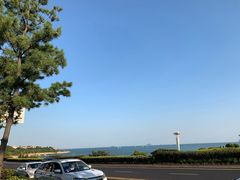 -青岛海景花园大酒店·白果树餐厅青岛菜