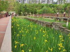 -沐仙湖湿地公园