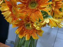 -图图家冰品(总店)