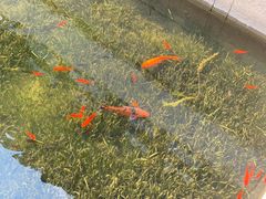 -东山雕花楼