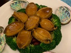 -御唐府海珊瑚主题餐厅