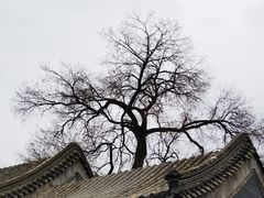 -菖蒲河公园