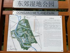 -东郊湿地公园