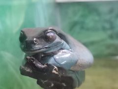 -上海大自然野生昆虫馆(东方明珠·爬宠昆虫探索中心)