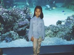 -悉尼海洋生物水族馆