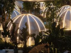 -悦见花开·花园里的火锅·露营·下午茶