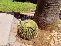 -安塔利亚博物馆