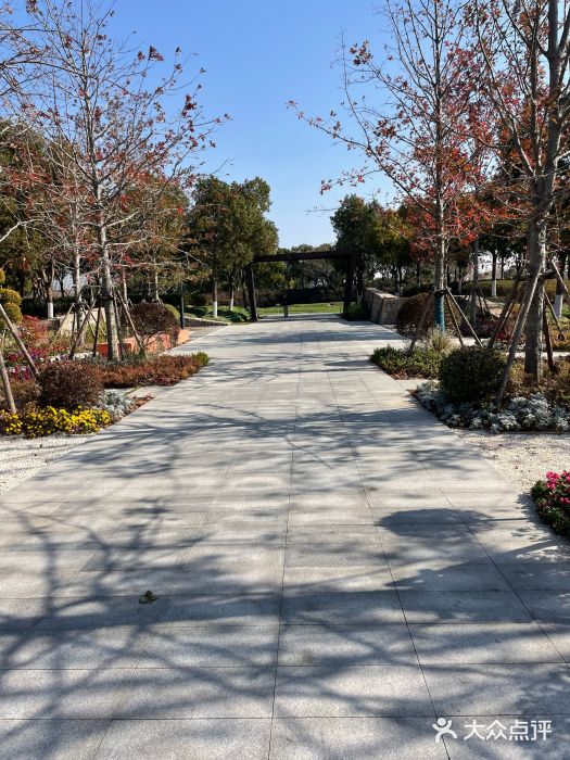 春花秋色城市公园图片