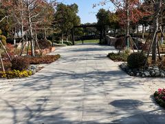 -春花秋色城市公园