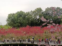 -南溪山景区