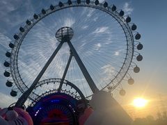 -海合安武汉极地海洋公园
