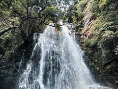-马峦山郊野公园