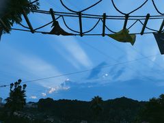 -重庆海昌加勒比海水世界