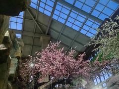 -仁爱团泊湖温泉中心