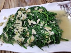 沙葱炒蛋-胡羊焖饼(敦煌店)