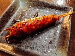 鸡肉丸子-串鑫