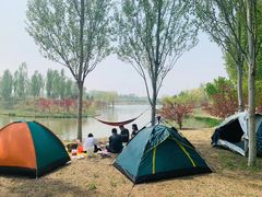 -东郊湿地公园