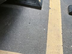 -佛山科学馆