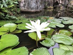 -珠海圆明新园