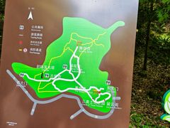 -上海佘山国家森林公园天马山园