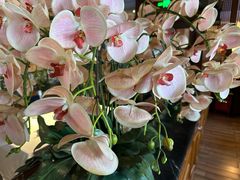 -八府香鸭·啫啫煲(华山路店)