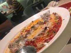 -眉州东坡·熊猫主题餐厅(枫蓝店)