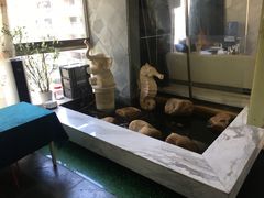 -乐尚音乐空间·钢琴·声乐·架子鼓(会展中心店)