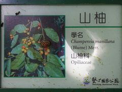 -鹅銮鼻公园