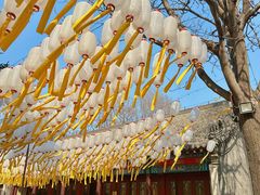 -护国法轮寺
