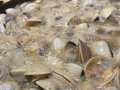 招牌卜卜贝-顺德哥卜卜贝(旗舰店)