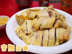 盐焗鸡-九號渔港·蒸汽海鲜·粤菜茶点(八卦岭店)