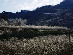 -樱桃山旅游景区