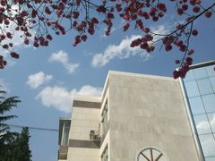 -胡九小吃(文化巷店)